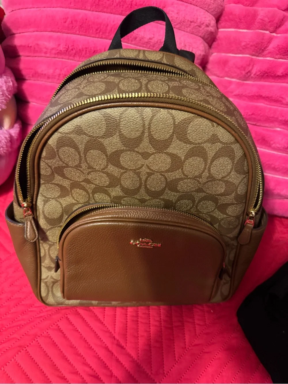 Coach Brown Interior Tote with Leather Patch